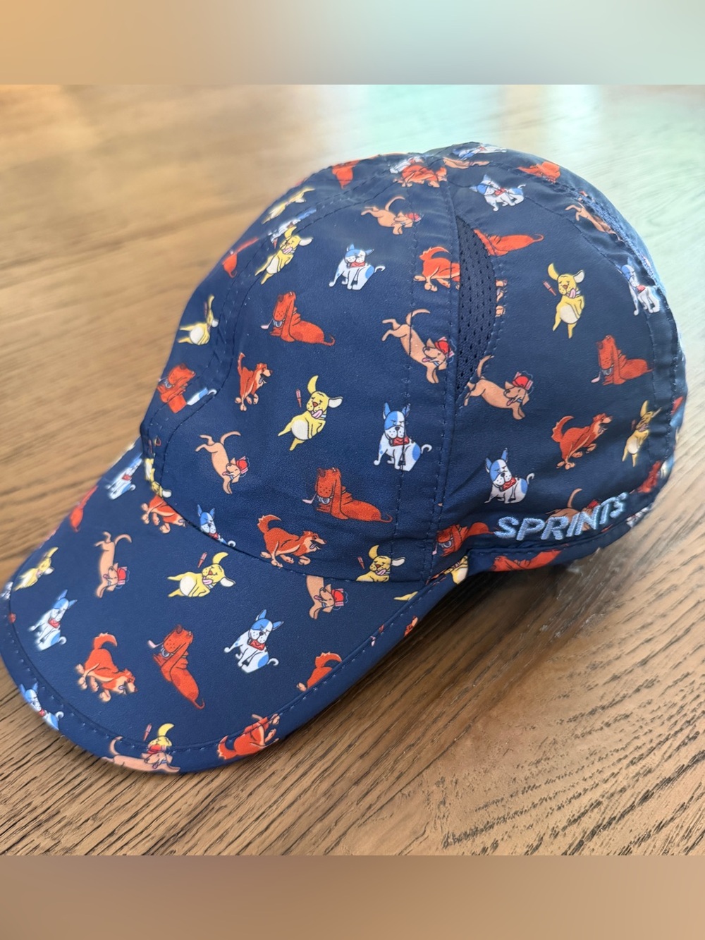 Sprints Hair of the Dog Blue OG Hat